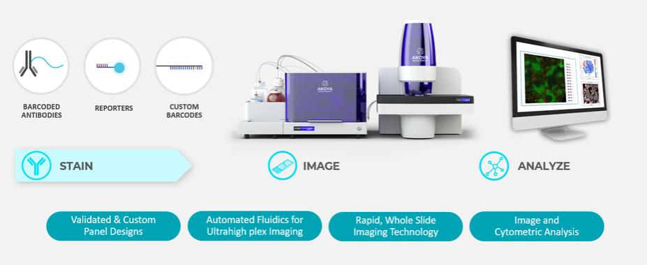 Graphical user interface, application  Description automatically generated