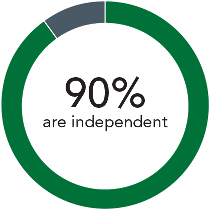piecharts_directorindependent.jpg
