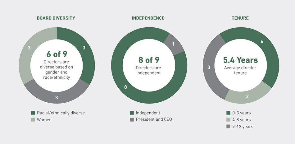 [MISSING IMAGE: http://api.rkd.refinitiv.com/api/FilingsRetrieval3/.77751360.0001104659-24-033311pc_boardcomposition-pn.jpg.ashx]