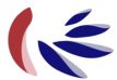 http://api.rkd.refinitiv.com/api/FilingsRetrieval3/.77781265.0001185185-24-000233igc_logo1.jpg.ashx