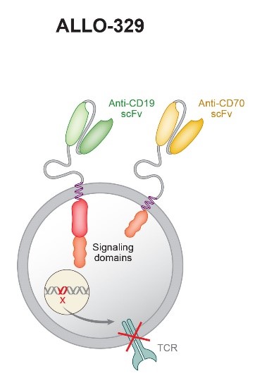 Business picture 8.jpg