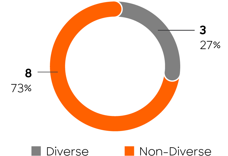 03 425736-1_piechart_boardSnapshotracialdiv.jpg