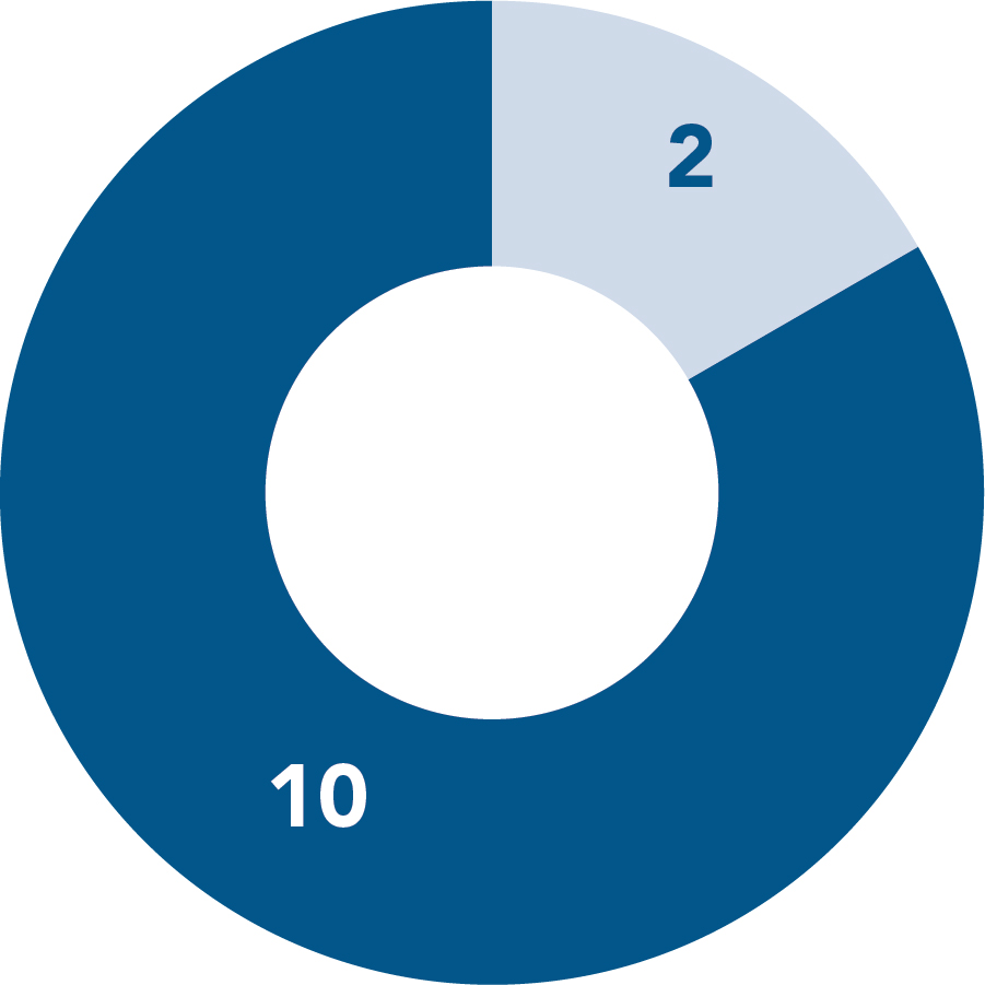 Independence Pie Chart.jpg