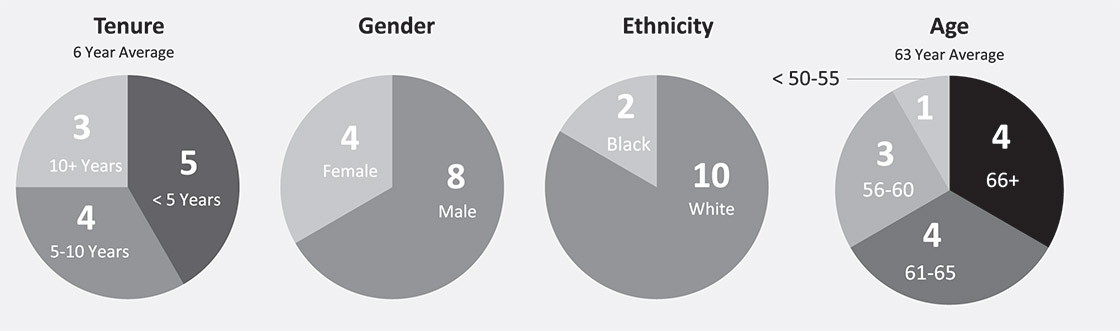 [MISSING IMAGE: http://api.rkd.refinitiv.com/api/FilingsRetrieval3/.77971882.0001104659-24-035901pc_tenure-bw.jpg.ashx]