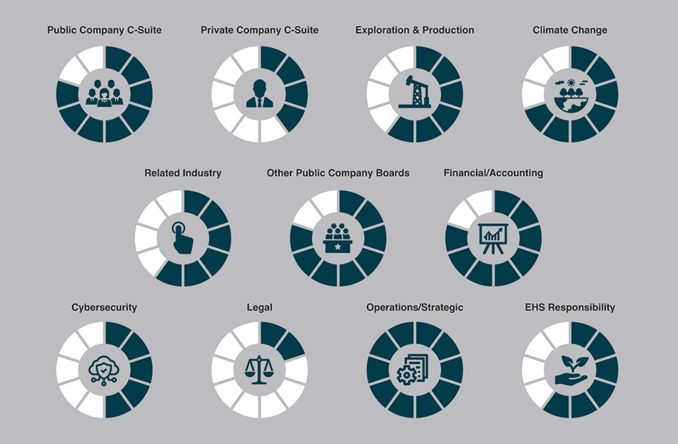 [MISSING IMAGE: http://api.rkd.refinitiv.com/api/FilingsRetrieval3/.78005737.0001104659-24-036565fc_directornom-pn.jpg.ashx]