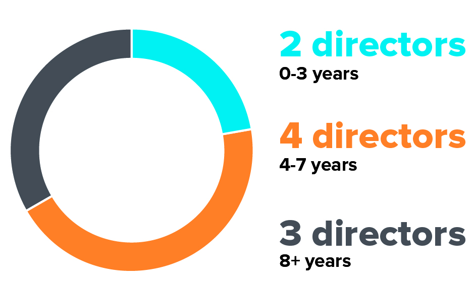 04_424611-3_gfx_Independent Director Nominee.jpg