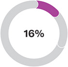 [MISSING IMAGE: http://api.rkd.refinitiv.com/api/FilingsRetrieval3/.78037447.0001104659-24-037875pc_ceo16perc-pn.jpg.ashx]