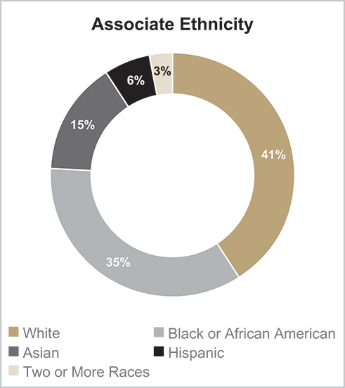 [MISSING IMAGE: http://api.rkd.refinitiv.com/api/FilingsRetrieval3/.78117454.0001104659-24-040533pc_assoethni-pn.jpg.ashx]