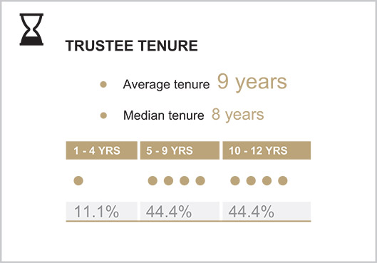 [MISSING IMAGE: http://api.rkd.refinitiv.com/api/FilingsRetrieval3/.78117454.0001104659-24-040533tbl_tenure-pn.jpg.ashx]