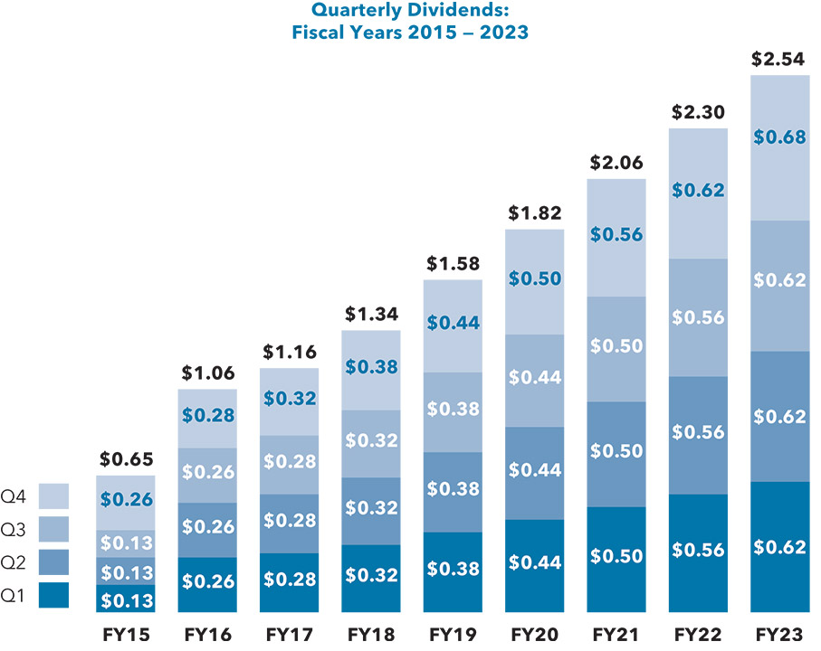 [MISSING IMAGE: http://api.rkd.refinitiv.com/api/FilingsRetrieval3/.78117680.0001104659-24-040560bc_dividend-pn.jpg.ashx]