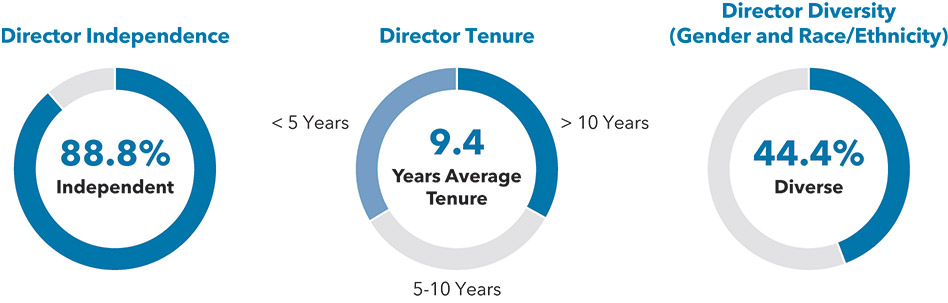[MISSING IMAGE: http://api.rkd.refinitiv.com/api/FilingsRetrieval3/.78117680.0001104659-24-040560pc_director-pn.jpg.ashx]