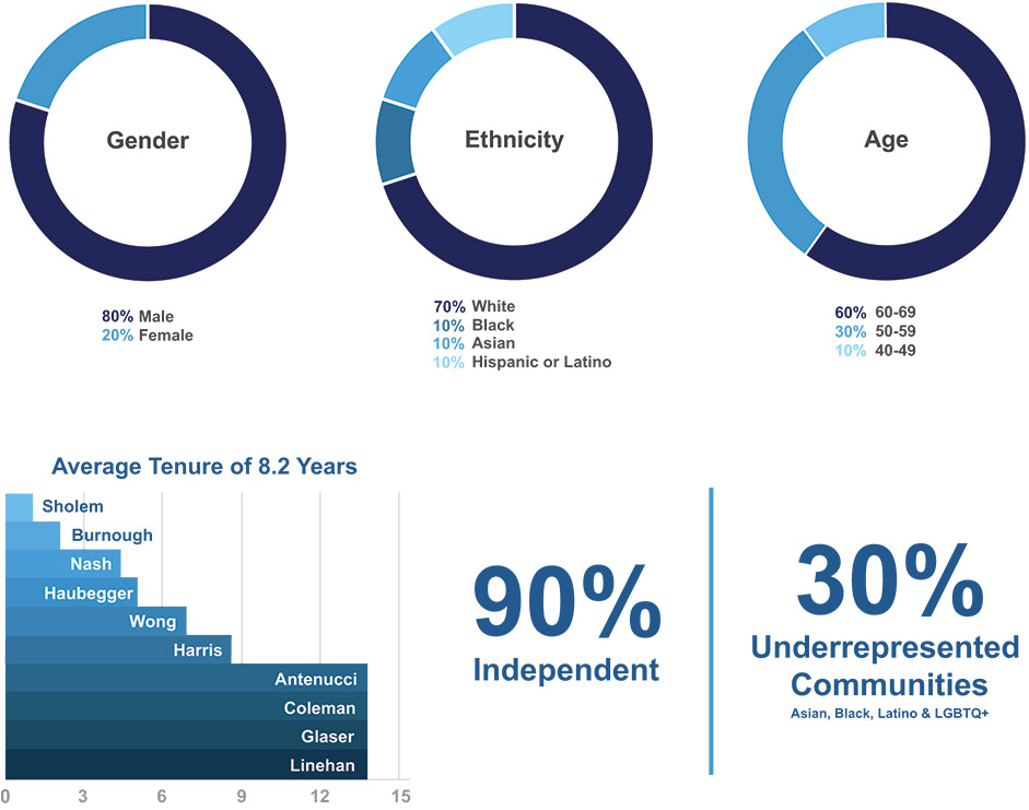 [MISSING IMAGE: http://api.rkd.refinitiv.com/api/FilingsRetrieval3/.78117981.0001104659-24-040574pc_directors-4c.jpg.ashx]