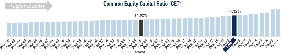 [MISSING IMAGE: http://api.rkd.refinitiv.com/api/FilingsRetrieval3/.78171008.0001104659-24-041879bc_common-4c.jpg.ashx]