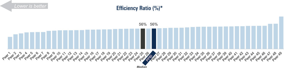 [MISSING IMAGE: http://api.rkd.refinitiv.com/api/FilingsRetrieval3/.78171008.0001104659-24-041879bc_efficiency-4c.jpg.ashx]