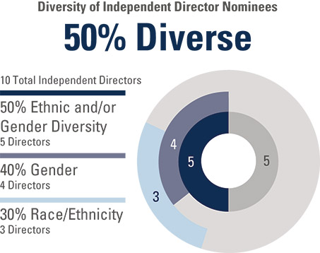 [MISSING IMAGE: http://api.rkd.refinitiv.com/api/FilingsRetrieval3/.78171008.0001104659-24-041879pc_diversitydirectors-pn.jpg.ashx]