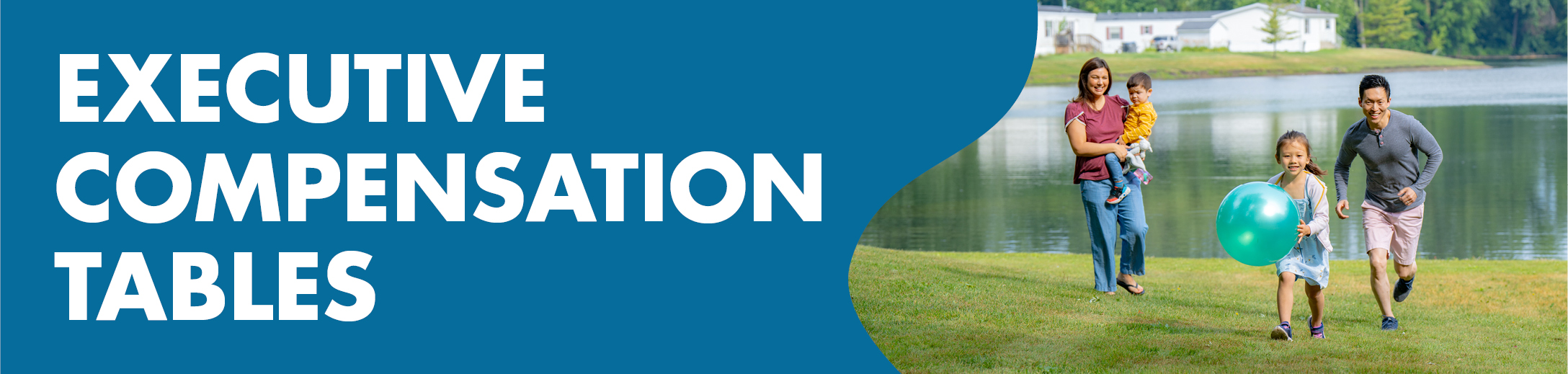 gfx_banner_exec-comp-tables.jpg