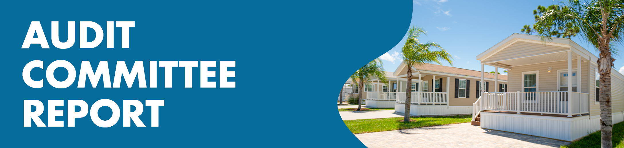gfx_banner_audit-committee-report.jpg
