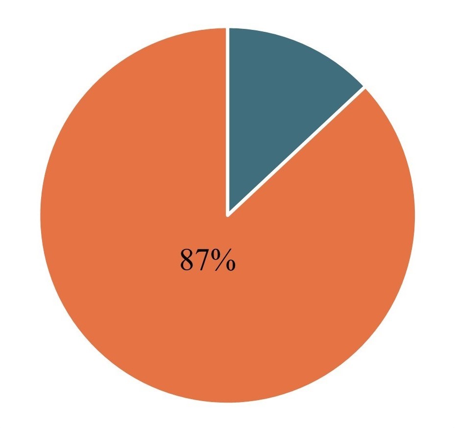 CEO 87% Circle Chart.jpg