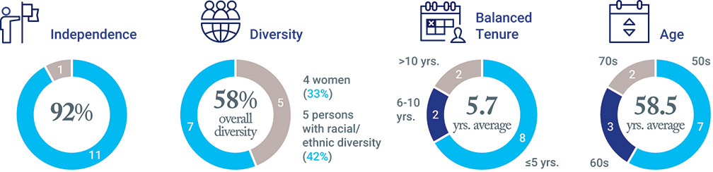 [MISSING IMAGE: http://api.rkd.refinitiv.com/api/FilingsRetrieval3/.78220874.0001104659-24-043638pc_diversityother-pn.jpg.ashx]