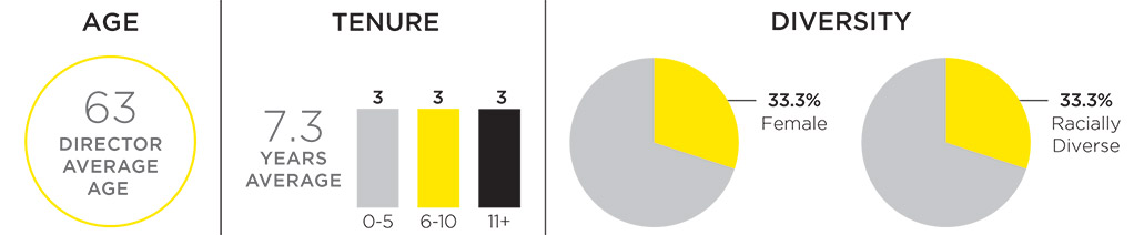 [MISSING IMAGE: http://api.rkd.refinitiv.com/api/FilingsRetrieval3/.78244803.0001104659-24-044304pc_diversity-pn.jpg.ashx]