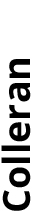 Colleran.jpg