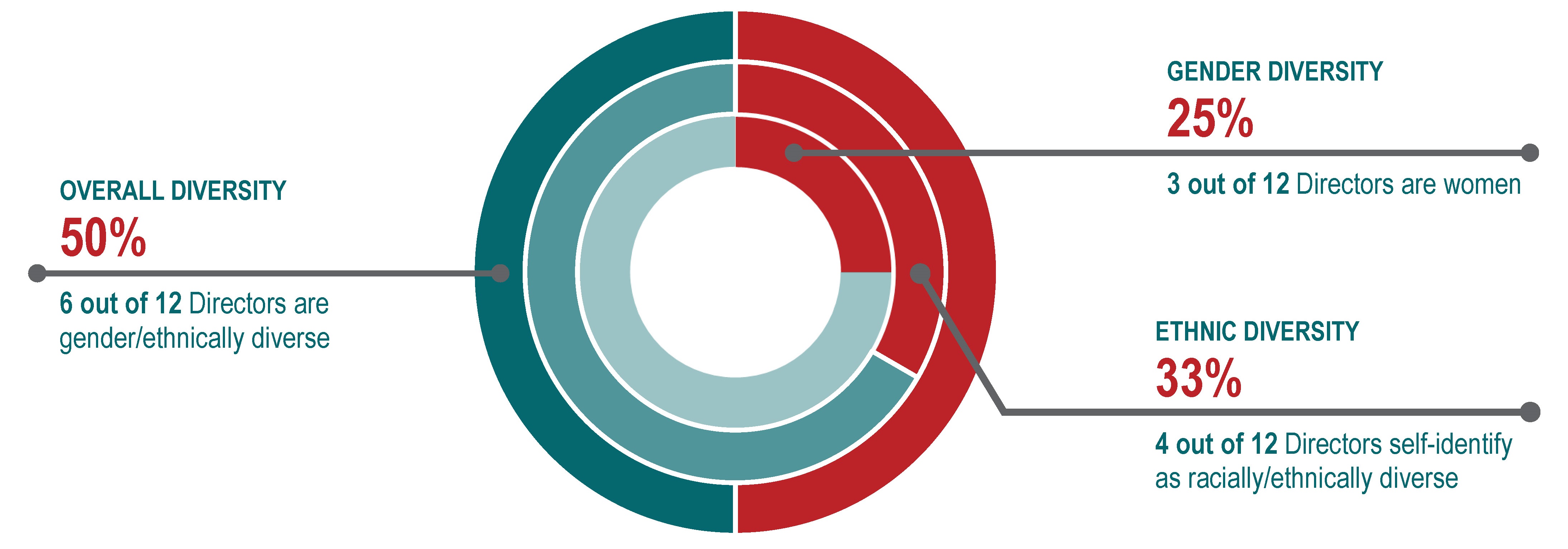 Board Diversity Graphics.jpg