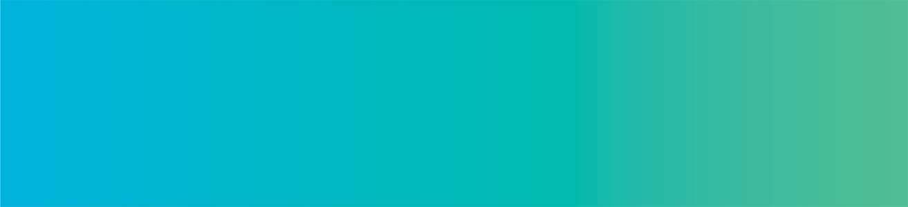 [MISSING IMAGE: http://api.rkd.refinitiv.com/api/FilingsRetrieval3/.78721400.0001104659-24-051992htr_bluegreen-4c.jpg.ashx]