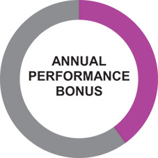 [MISSING IMAGE: http://api.rkd.refinitiv.com/api/FilingsRetrieval3/.78722423.0001104659-24-052072tm223382d1-pc_annualperpn.jpg.ashx]