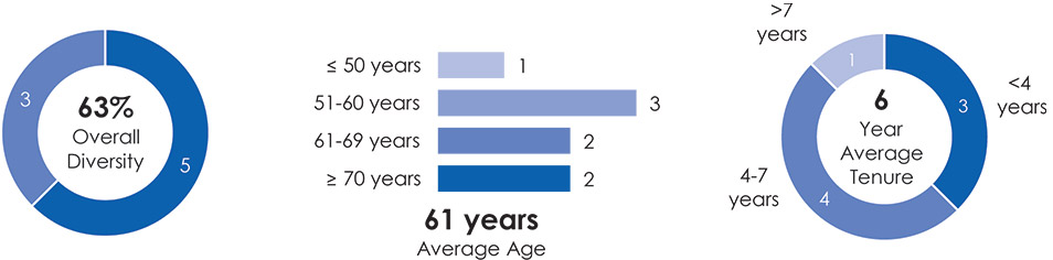 [MISSING IMAGE: http://api.rkd.refinitiv.com/api/FilingsRetrieval3/.78759940.0001104659-24-052921pc_boardgover-pn.jpg.ashx]