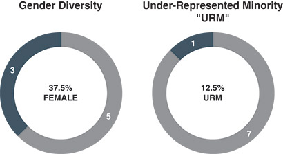 [MISSING IMAGE: http://api.rkd.refinitiv.com/api/FilingsRetrieval3/.78804369.0001104659-24-053547pc_diversity-4c.jpg.ashx]