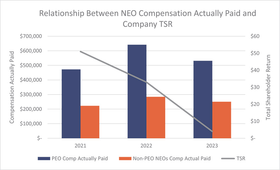[MISSING IMAGE: http://api.rkd.refinitiv.com/api/FilingsRetrieval3/.78818850.0001104659-24-053983bc_tsr-pn.jpg.ashx]