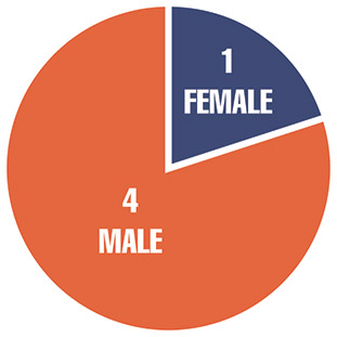 [MISSING IMAGE: http://api.rkd.refinitiv.com/api/FilingsRetrieval3/.78818850.0001104659-24-053983pc_diverse-pn.jpg.ashx]