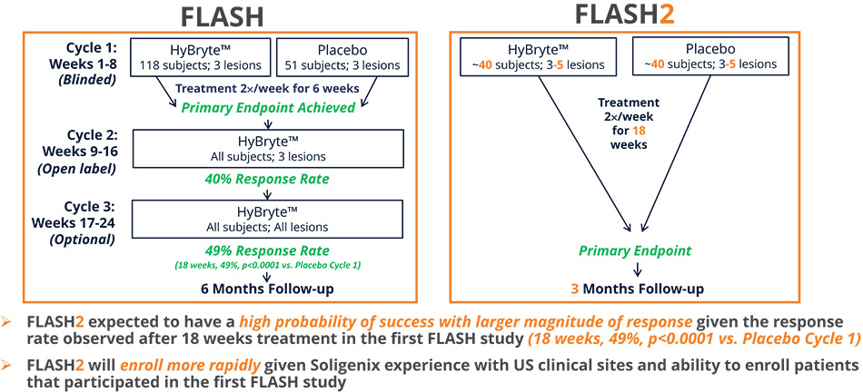 [MISSING IMAGE: http://api.rkd.refinitiv.com/api/FilingsRetrieval3/.78818850.0001104659-24-053983tb_flash-4c.jpg.ashx]