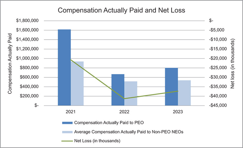 [MISSING IMAGE: http://api.rkd.refinitiv.com/api/FilingsRetrieval3/.78819048.0001104659-24-054004bc_netloss-4c.jpg.ashx]