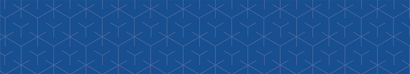 [MISSING IMAGE: http://api.rkd.refinitiv.com/api/FilingsRetrieval3/.79245188.0001104659-24-065392bn_bend-pn.jpg.ashx]