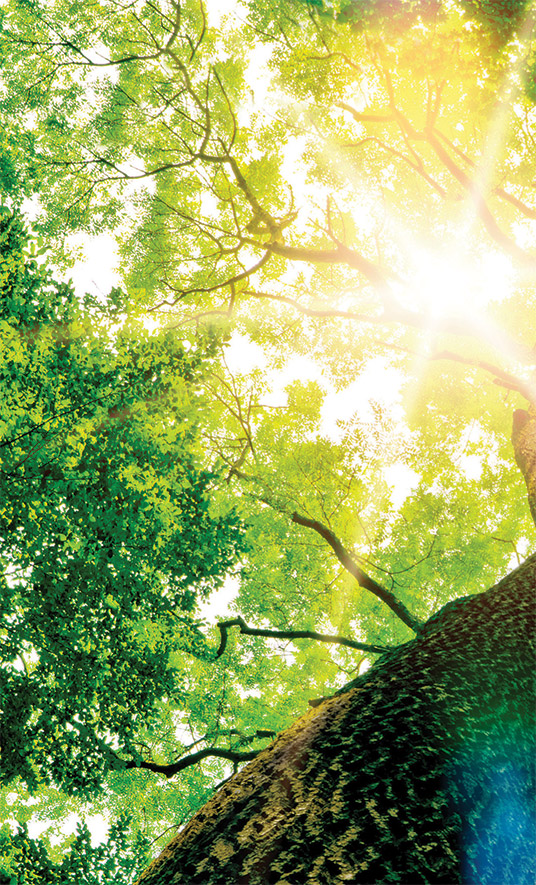 [MISSING IMAGE: http://api.rkd.refinitiv.com/api/FilingsRetrieval3/.79245188.0001104659-24-065392ph_enviroin-4c.jpg.ashx]