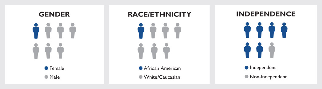 [MISSING IMAGE: http://api.rkd.refinitiv.com/api/FilingsRetrieval3/.79245188.0001104659-24-065392tb_director-pn.jpg.ashx]