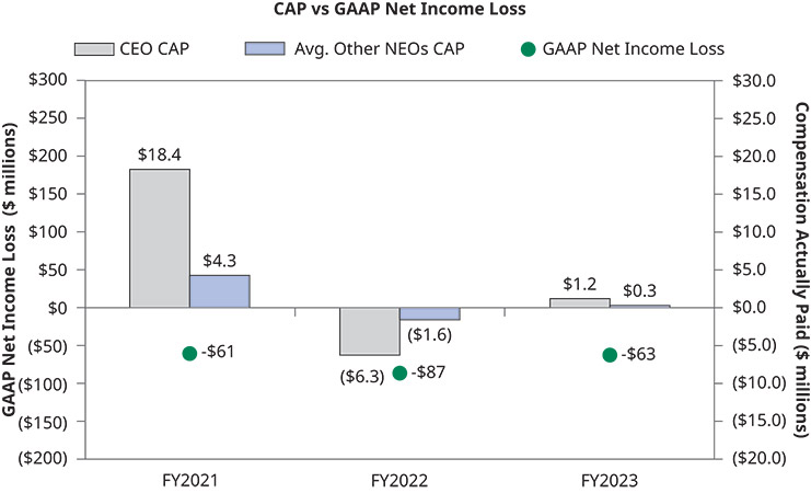 [MISSING IMAGE: http://api.rkd.refinitiv.com/api/FilingsRetrieval3/.79250384.0001104659-24-065576bc_gaapnetloss-pn.jpg.ashx]