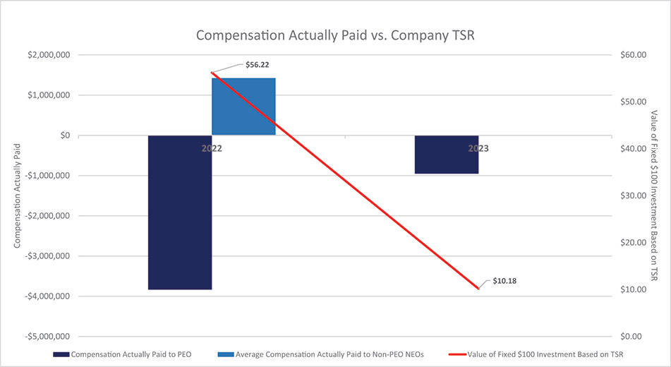 [MISSING IMAGE: http://api.rkd.refinitiv.com/api/FilingsRetrieval3/.79570918.0001104659-24-074966bc_companytsr-4c.jpg.ashx]