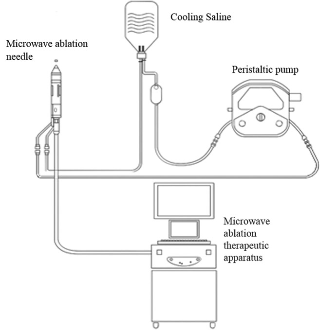 [MISSING IMAGE: http://api.rkd.refinitiv.com/api/FilingsRetrieval3/.80521124.0001104659-24-097398fc_microwave-4clr.jpg.ashx]