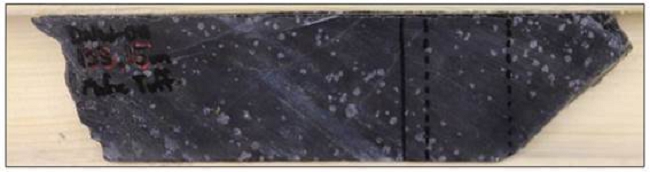 A close up of a rock

Description automatically generated with low confidence