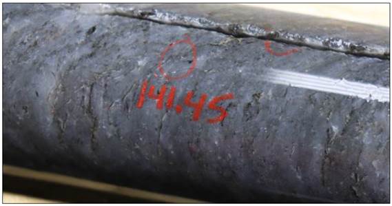 A close-up of a rock

Description automatically generated with medium confidence