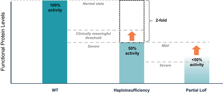 [MISSING IMAGE: http://api.rkd.refinitiv.com/api/FilingsRetrieval3/.80637032.0001104659-24-071596bc_functionaldisorder-4c.jpg.ashx]