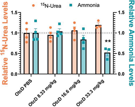 [MISSING IMAGE: http://api.rkd.refinitiv.com/api/FilingsRetrieval3/.80637032.0001104659-24-071596lc_ureaproduction-4clr.jpg.ashx]