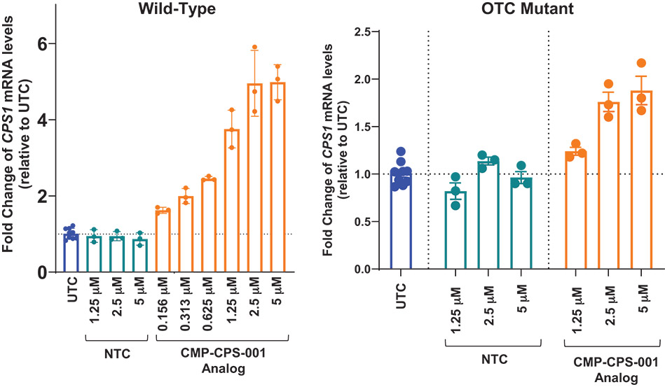 [MISSING IMAGE: http://api.rkd.refinitiv.com/api/FilingsRetrieval3/.80637034.0001104659-24-091970bc_concentration-4c.jpg.ashx]