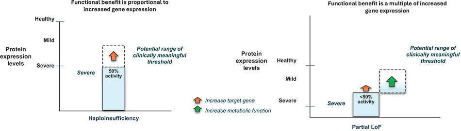 [MISSING IMAGE: http://api.rkd.refinitiv.com/api/FilingsRetrieval3/.80637034.0001104659-24-091970bc_functionaldisorder-4c.jpg.ashx]