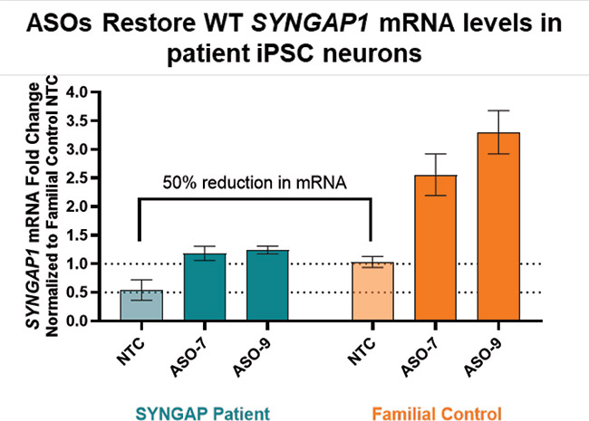 [MISSING IMAGE: http://api.rkd.refinitiv.com/api/FilingsRetrieval3/.80637034.0001104659-24-091970lc_humanneurons-4c.jpg.ashx]