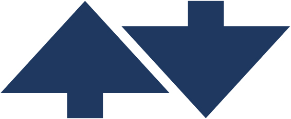 02_434260-3_icon_up&down arrow blue.jpg