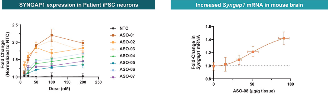 [MISSING IMAGE: http://api.rkd.refinitiv.com/api/FilingsRetrieval3/.80773704.0001104659-24-106393lc_syngap1brainsofmice-4clr.jpg.ashx]
