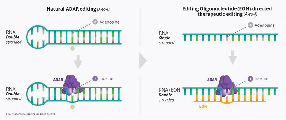 [MISSING IMAGE: http://api.rkd.refinitiv.com/api/FilingsRetrieval3/.80919274.0001104659-24-110938fc_natural-4clr.jpg.ashx]